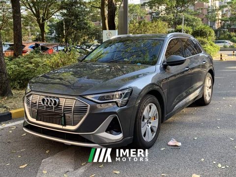 2023 Audi e-tron 50 quattro Luxury - ავტომობილი ჩინეთიდან