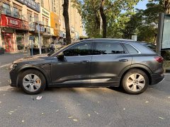 Audi e-tron 50 quattro Luxury - ფოტო 3