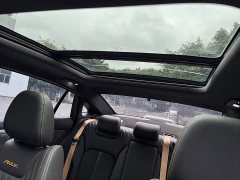 Dongfeng Yixuan MAX 1.5T Midnight Holy Light Edition Hybrid - ფოტო 20