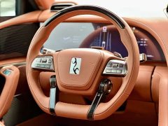 Yangwang U8 Luxury Edition - ფოტო 8