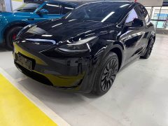 Tesla Model Y Rear-Wheel Drive - photo 1
