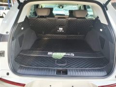 Buick E5 Premium Standard Range Edition - ფოტო 18
