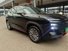 Jetour Jietu Dasheng 1.5T DCT Longteng Pro - photo 3
