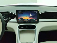 Geely Xing Yuan 310km Youth Edition - ფოტო 13