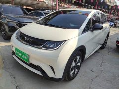 BYD Dolphin 420km Freedom Edition - photo 1