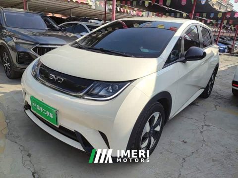 2026 BYD Dolphin 420km Freedom Edition - автомобиль из Китая