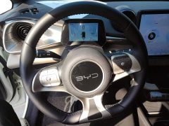 BYD Dolphin 420km Freedom Edition - photo 10