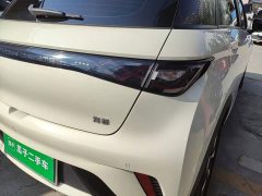 BYD Dolphin 420km Freedom Edition - photo 7