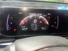 Trumpchi Leopard 270T DCT J15 - ფოტო 11
