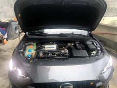 Trumpchi Leopard 270T DCT J15 - ფოტო 19