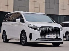 Buick GL8 ES Luxun Luxury Edition - ფოტო 3