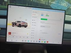 Nio Lerado L60 60kWh AWD - photo 12