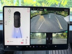Tesla Model 3 Rear-Wheel Drive - ფოტო 13