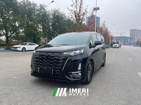 2024 Denza D9 DM-i 980 Four-Wheel Drive Premium - автомобиль из Китая