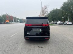 Denza D9 DM-i 980 Four-Wheel Drive Premium - фото 18