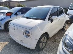 Ora Black Cat 301km Version - ფოტო 1