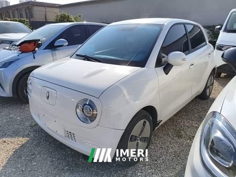 2022 Ora Black Cat 301km Version - ავტომობილი ჩინეთიდან