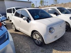 Ora Black Cat 301km Version - ფოტო 3