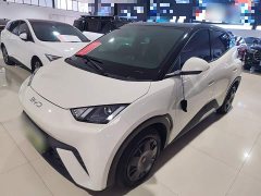 BYD Seagull Glory Edition 305km Vitality Version - photo 1