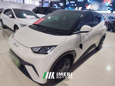 2024 BYD Seagull Glory Edition 305km Vitality Version - ავტომობილი ჩინეთიდან