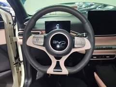 BYD Seagull Glory Edition 305km Vitality Version - photo 10