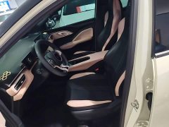 BYD Seagull Glory Edition 305km Vitality Version - photo 14