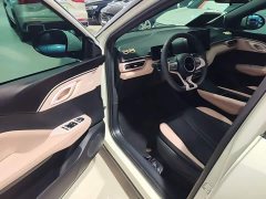BYD Seagull Glory Edition 305km Vitality Version - photo 15