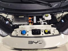 BYD Seagull Glory Edition 305km Vitality Version - photo 19