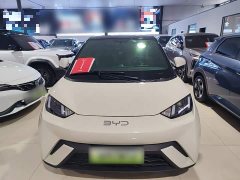 BYD Seagull Glory Edition 305km Vitality Version - photo 2