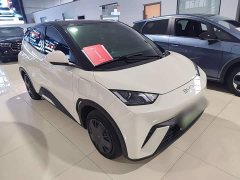 BYD Seagull Glory Edition 305km Vitality Version - photo 3