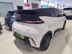 BYD Seagull Glory Edition 305km Vitality Version - photo 6