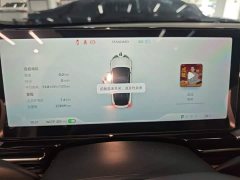 XPeng P5 550E - ფოტო 11