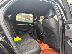 Geely Xingrui Oriental Radiance 2.0T Diesel Star Edition - photo 10