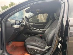 Geely Xingrui Oriental Radiance 2.0T Diesel Star Edition - photo 8
