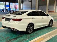 Geely Binrui 1.4T CVT F-Flagship - ფოტო 5