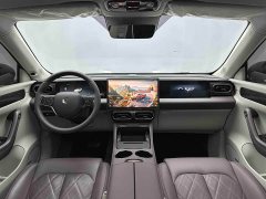 Leapmotor Leapo C11 Extended Range 300 Deluxe Edition - photo 11