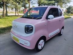 FAW Besturn Xiaoma 222km Dynamic Edition - ფოტო 1