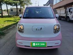 FAW Besturn Xiaoma 222km Dynamic Edition - ფოტო 2