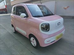 FAW Besturn Xiaoma 222km Dynamic Edition - ფოტო 3