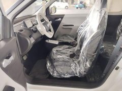 Changan Lumin Treasure Edition 205km Cool Love White CATL - photo 10
