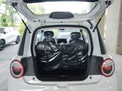 Changan Lumin Treasure Edition 205km Cool Love White CATL - photo 14