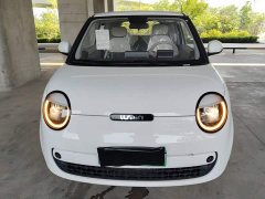 Changan Lumin Treasure Edition 205km Cool Love White CATL - photo 2