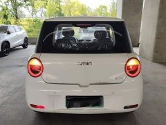 Changan Lumin Treasure Edition 205km Cool Love White CATL - photo 3