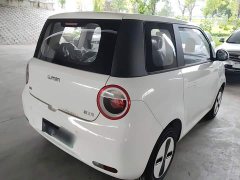 Changan Lumin Treasure Edition 205km Cool Love White CATL - photo 4