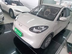 Wuling Binguo 203km Light Enjoy Edition - ფოტო 1