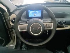Wuling Binguo 203km Light Enjoy Edition - ფოტო 10