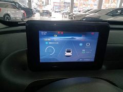Wuling Binguo 203km Light Enjoy Edition - ფოტო 11