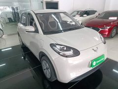 Wuling Binguo 203km Light Enjoy Edition - ფოტო 3
