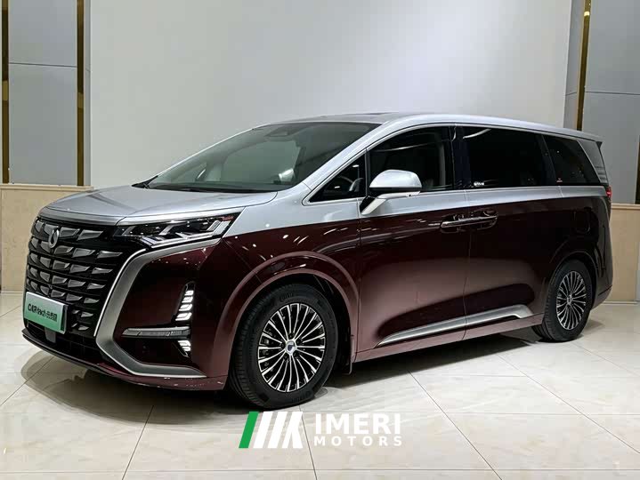 Denza D9 DM-i 980 AWD Luxury - car from China