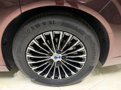 Denza D9 DM-i 980 AWD Luxury - photo 15